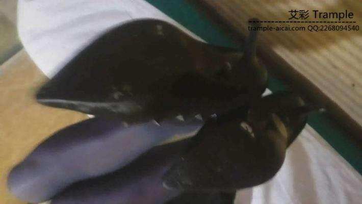 长腿美女主人的调教