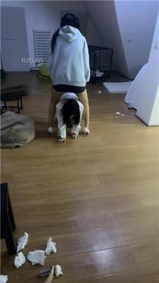 【女仆店萌萌】圈养母畜没睡醒就被姐妹花玩弄