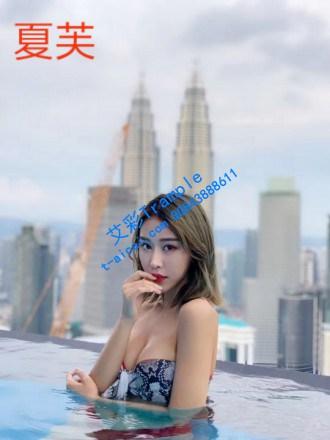 〖H.P.L栖心之栈〗—夏芙粉色的噩梦