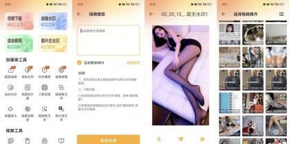 视频下载去水印22支持全网主流平台秒解析解锁会员